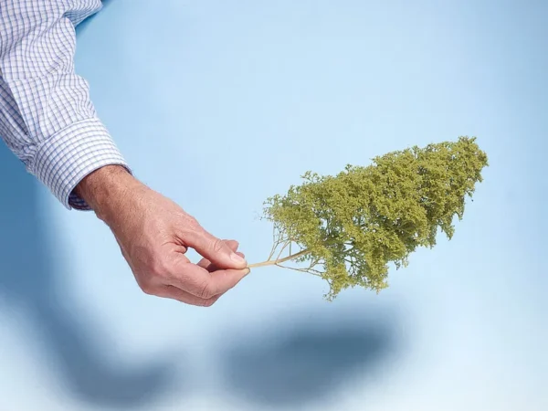 frunze-verde-deschis-07142-3 frunze-verde-deschis-07142-3