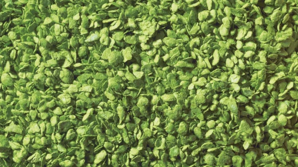 rs_479_RS479_07142_Muster rs_479_RS479_07142_Muster