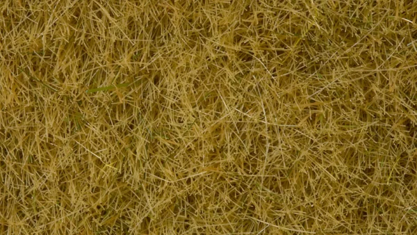 rs_755_RS755_07101_Muster